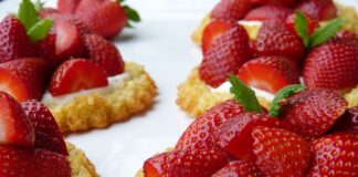 Czy agawę można trzymać w domu?