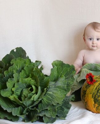 Czy po kapuście się pierdzi?