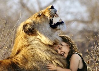 Jaka jest najlepsza mokra karma dla psa?