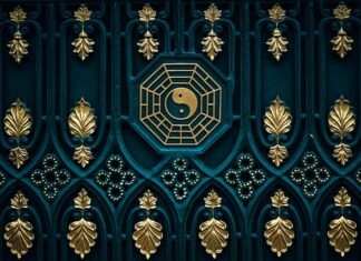 Co jest zdrowsze dla psa sucha karma czy gotowane?