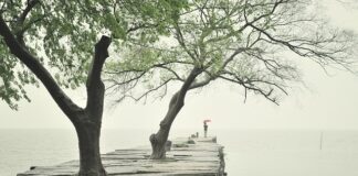 Co zamiast płyty HDF?