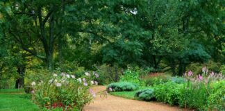 Ile żwirku do akwarium 100l?