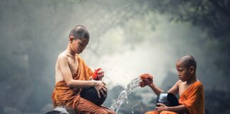 Jaki środek do czyszczenia kanapy?