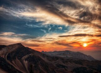 O której godzinie ostatni spacer z psem?