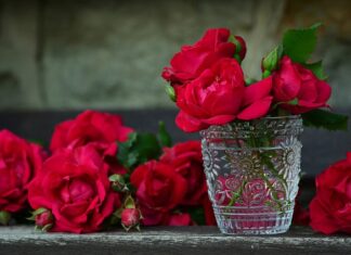 Co wlać do pojemnika na szczotkę do WC?