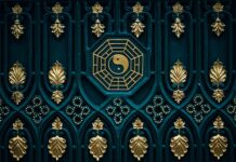 Czy karma dla psa Purina jest dobra?