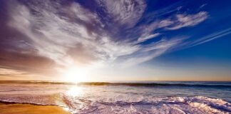 Skąd wziąć piasek do akwarium?