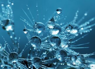 Jak dbać o czystość toalety?