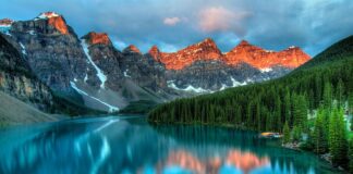 Jak skutecznie usunąć kamień z płytek pod prysznicem?