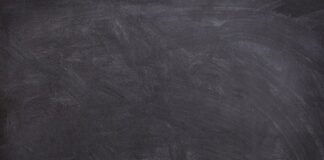 W jakim wieku uczyć kota chodzenia na smyczy?