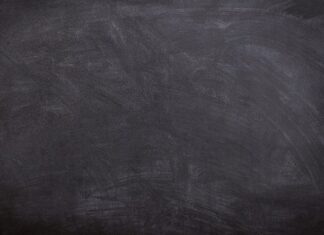 W jakim wieku uczyć kota chodzenia na smyczy?