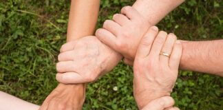 Jak wzbudzić zaufanie u psa?