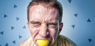 Jaka smycz taśma czy linka?