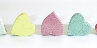 Jak zmierzyć rozmiar szelek dla kota?