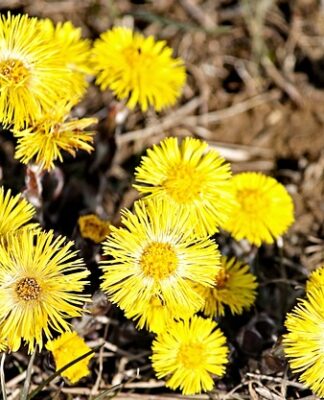 Co trzeba zrobić żeby przestać kaszleć?