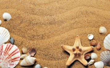 Jak wyczyścić muszle klozetowa pod kołnierzem?