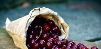 Gdzie najlepiej zbierać kamienie?