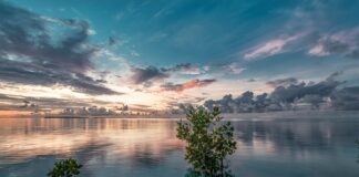 Jak wyczyścić Narożnik z materiału?