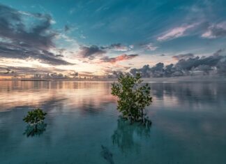 Jak wyczyścić Narożnik z materiału?