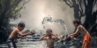 W czym kąpać psa domowe sposoby?