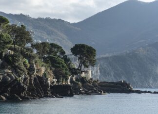 Ile kosztuje sok z malin?