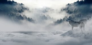 Czy zimą myje się okna?