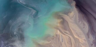 Czy program Eco w pralce jest oszczędny?