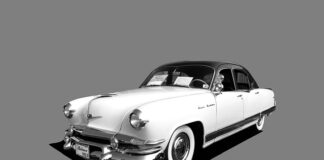 Jak naturalnie odbudować śluzówkę żołądka?