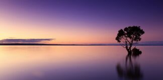 Jak napowietrzyć wodę w akwarium bez prądu?