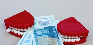 Czy Winston to dobra karma dla psa?