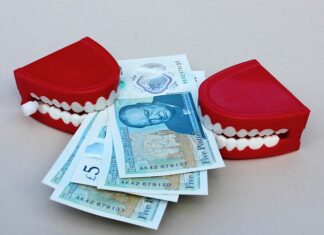 Czy Winston to dobra karma dla psa?