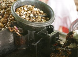 Czy gnidy giną od szamponu?