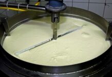 Czy jedzenie jogurtów codziennie jest zdrowe?