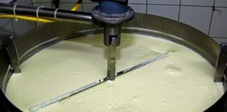 Czy jedzenie jogurtów codziennie jest zdrowe?