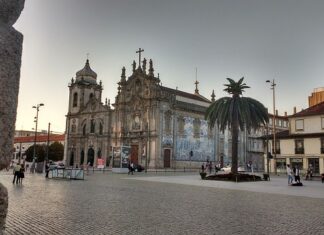 Jak często dawać psu mokra karmę?