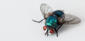 Jakie ścierki do czego?