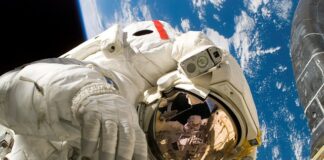 Jak czyścić psu łapy po spacerze?