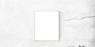 Co zrobić żeby kot nie wskakiwał na meble?