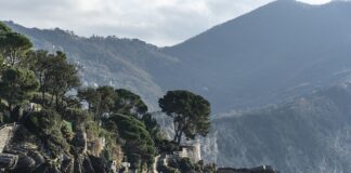 Ile kosztuje całe wyposażenie akwarium?