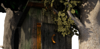 Dlaczego zapycha się kibel?