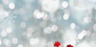 Gdzie można kupić worki do Szynkowara?