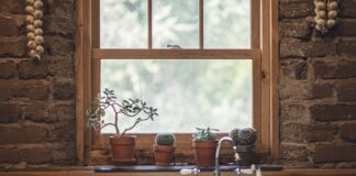 Ile ząbków czosnku na kg?