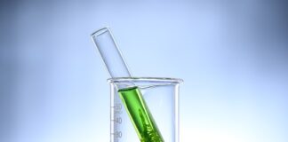 Jak wyczyścić akwarium z glonów?