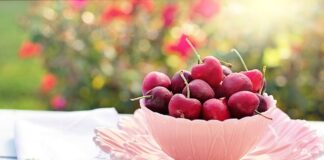 Czy można kisić wiśnie?