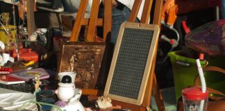 Czy szczeniak może mieć obrożę na pchly?