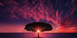 Czy słońce może świecić na akwarium?